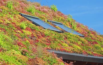 Penpol living roof systems